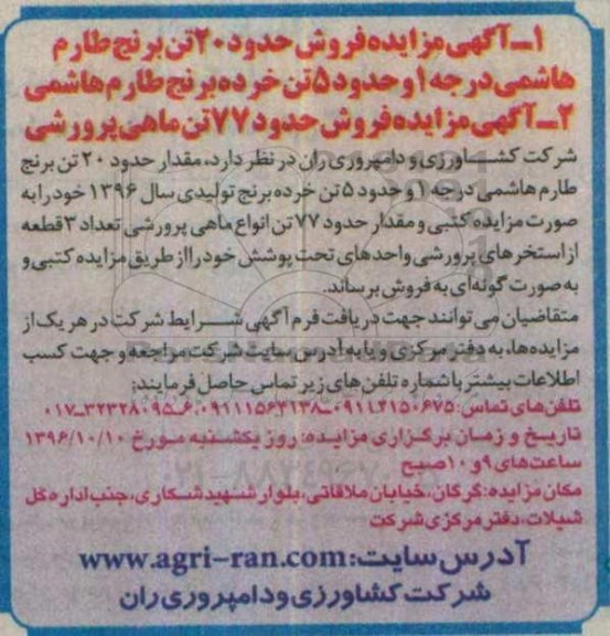 آگهی مزایده , مزایده فروش حدود 20 تن برنج طارم هاشمی درجه 1 ...