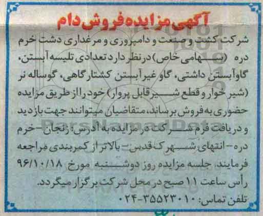 آگهی مزایده ، مزایده فروش  تعدادی تلیسه آبستن ،گاو آبستن داشتی