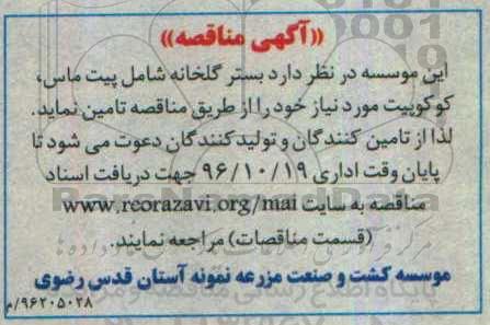 مناقصه تامین بستر گلخانه 