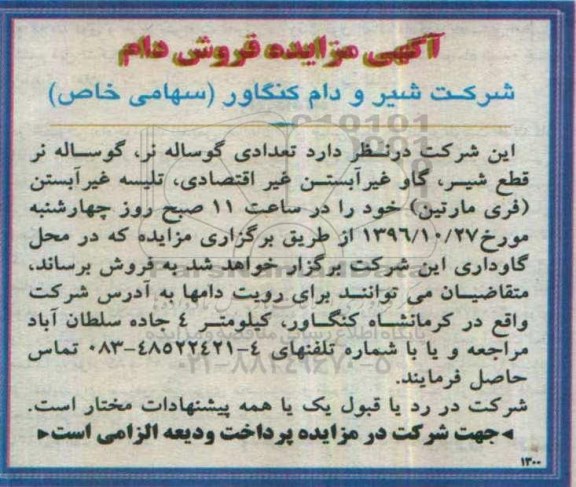 آگهی مزایده، مزایده فروش تعدادی گوساله نر، گوساله نر قطع شیر...