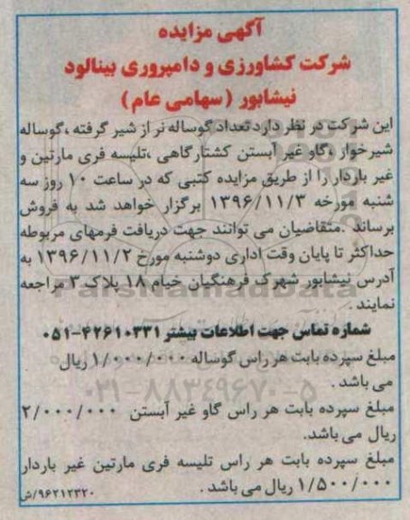 آگهی مزایده، مزایده تعدادی گوساله نر از شیر گرفته...