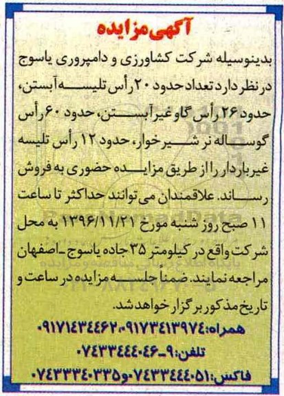 آگهی مزایده ، مزایده تعداد حدود 20 راس تلیسه آبستن....