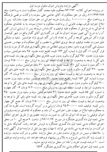مزایده, مزایده گاو تلبسه تلقیح شده...