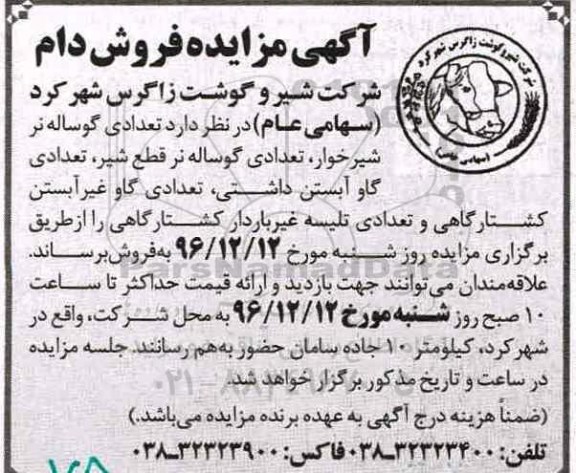 آگهی مزایده,  مزایده تعدادی گوساله نر شیرخوار ... 