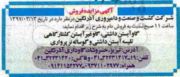 مزایده گاو آبستن داشتی و ...