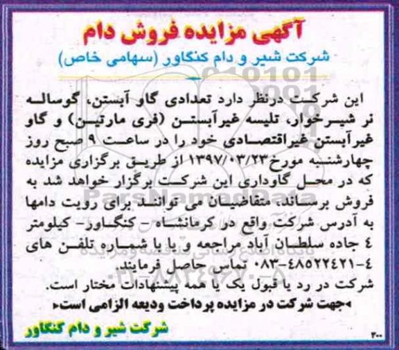 آگهی مزایده، مزایده فروش تعدادی گاو ، گوساله و ...