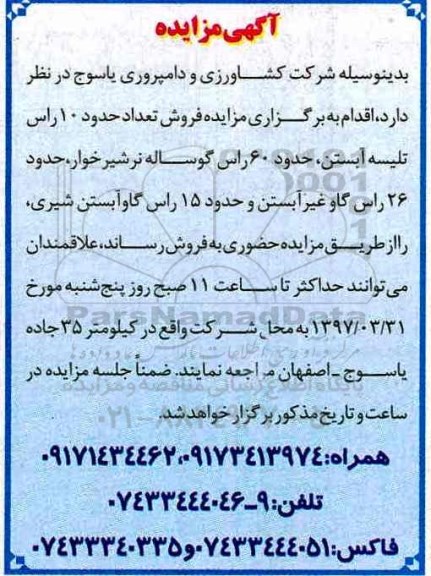 آگهی مزایده, مزایده  فروش تعداد حدود 10 راس تلیسه آبستن و ...