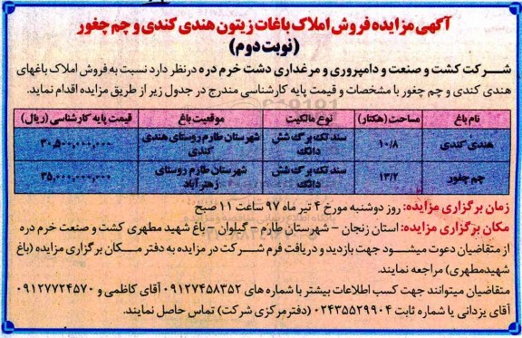 مزایده,مزایده فروش املاک باغ های هندی کندی و چم چغور 10.8 و 13.2 هکتار نوبت دوم 