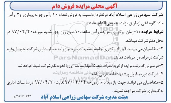 آگهی محلی مزایده , مزایده فروش تعداد 10 راس جوانه پرواری و 2 راس ماده گاو حذفی...
