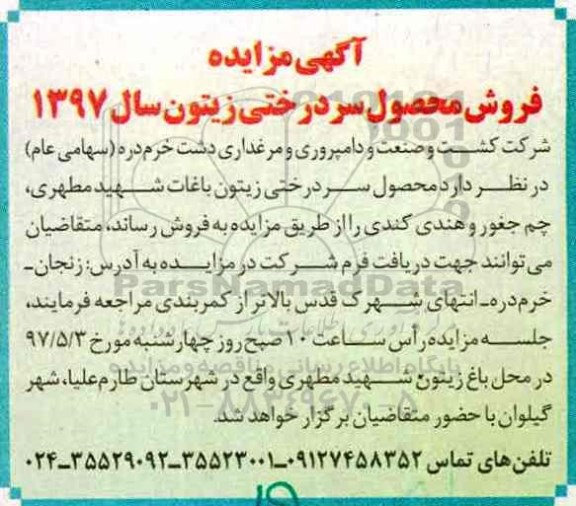 آگهی مزایده, مزایده فروش محصول سردرختی زیتون 