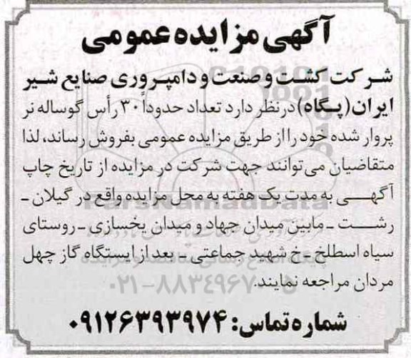 مزایده، مزایده فروش 30 راس گوسفند نر پروارشده