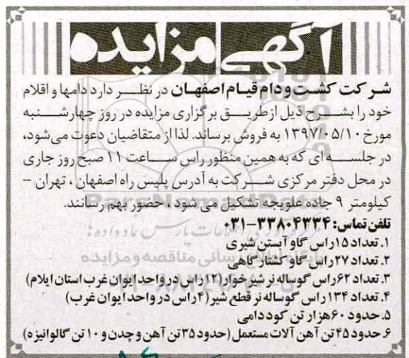 مزایده ,مزایده تعداد 15 راس گاو آبستن شیری ...