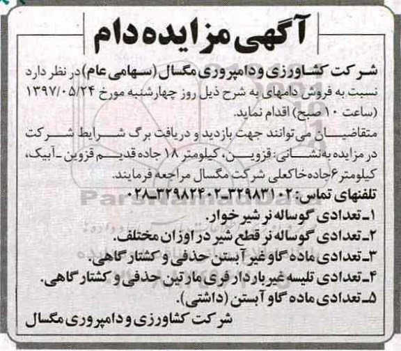 مزایده, مزایده فروش دام ...