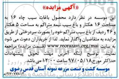 آگهی مزایده, مزایده محصول باغات سیب چاه...