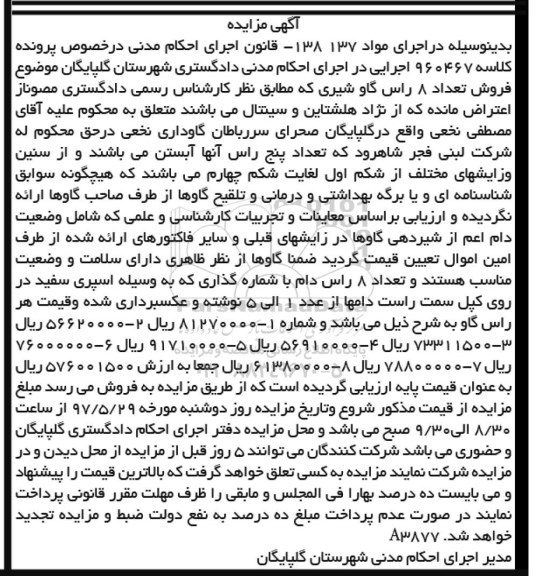 مزایده,مزایده فروش تعداد 8 راس گاو شیری 