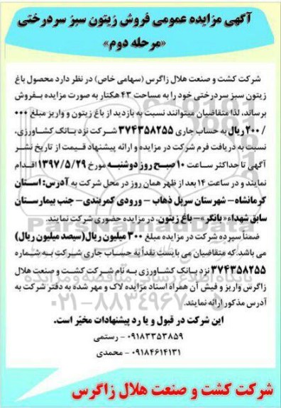 آگهی مزایده عمومی, مزایده فروش زیتون سبز سردرختی - مرحله دوم