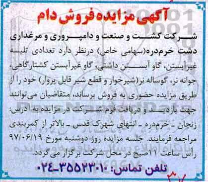 اگهی مزایده , مزایده تعدادی تلیسه غیرآبستن