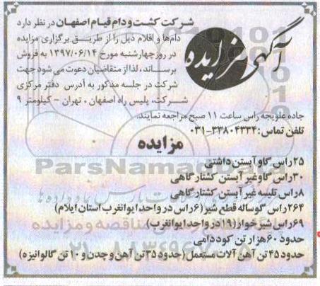 مزایده ,مزایده   25 راس گاو آبستن داشتی 