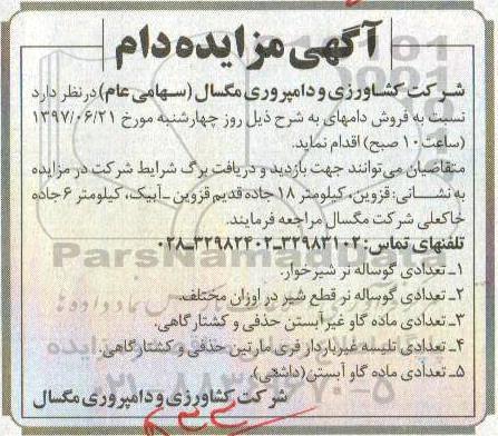 مزایده, مزایده فروش دام ...
