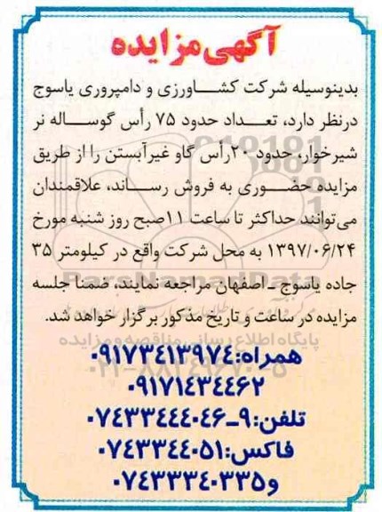 مزایده, مزایده فروش تعداد حدود 75 راس گوساله نر شیرخوار