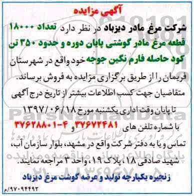 اگهی مزایده , مزایده مرغ مادر گوشتی 