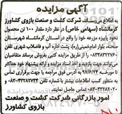 آگهی مزایده ، مزایده فروش مقدار 100 تن محصول نخود پاییزه مزرعه