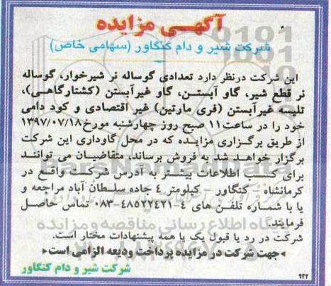 آگهی مزایده, مزایده تعدادی گوساله نر شیرخوار...