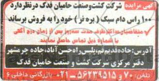 آگهی مزایده , مزایده فروش 100 راس دام سبک (بره نر)