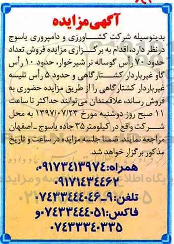 مزایده, مزایده فروش تعداد 70 راس گوساله نر شیرخوار