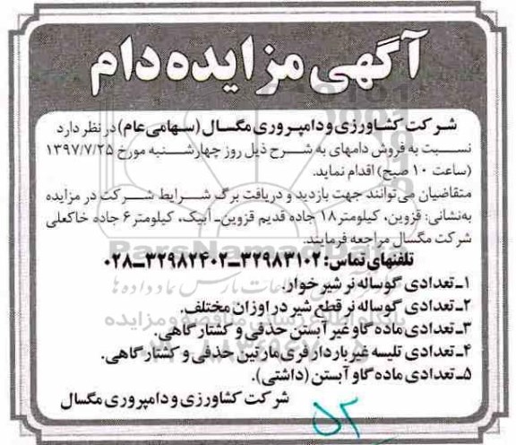 مزایده, مزایده فروش دام ...