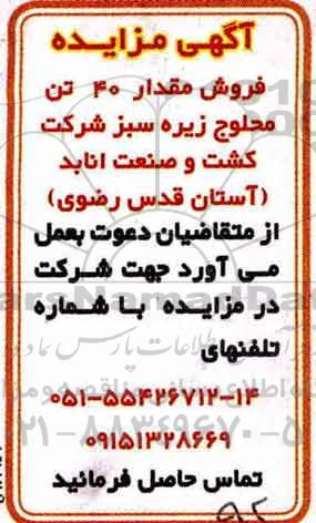 مزایده فروش مقدار 40 تن محلوج زیره سبز