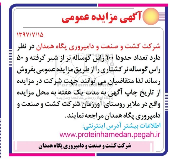 آگهی مزایده عمومی , مزایده فروش تعداد حدودا 100 راس گوساله نر 
