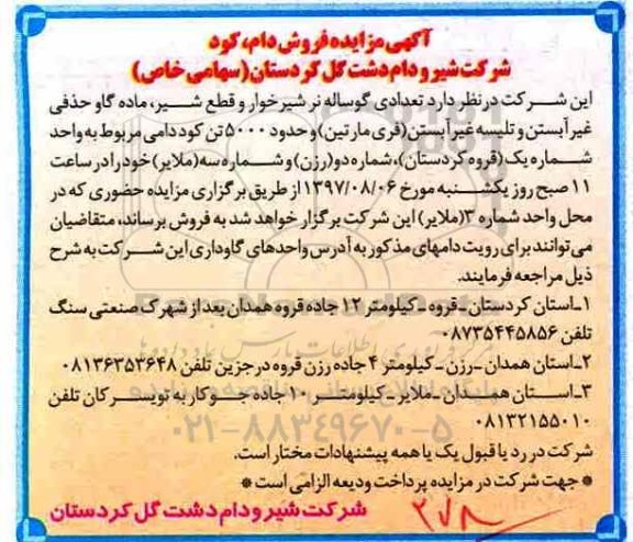 مزایده , مزایده فروش دام ، کود