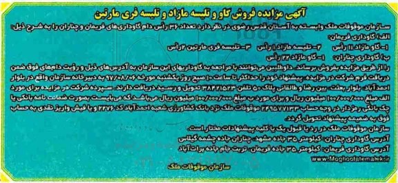 مزایده , مزایده فروش گاو و تلیسه مازاد و تلیسه فری مارتین