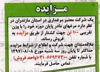 مزایده ، مزایده فروش مرغهای مادر پایان دوره