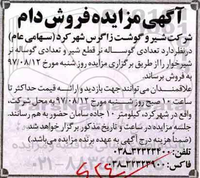 مزایده, مزایده تعدادی گوساله نر شیرخوار