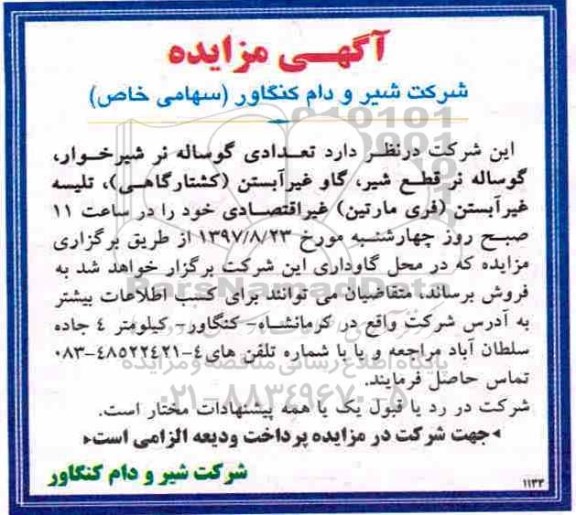 آگهی مزایده, مزایده تعدادی گوساله نر شیرخوار...