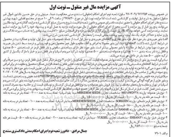 مزایده, مزایده بذور هیبریدی