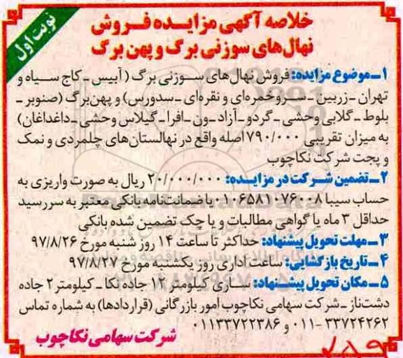 خلاصه آگهی مزایده , مزایده فروش نهال های سوزنی برگ و پهن برگ