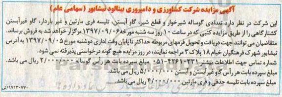 اگهی مزایده , مزایده تعدادی گوساله شیرخوار...
