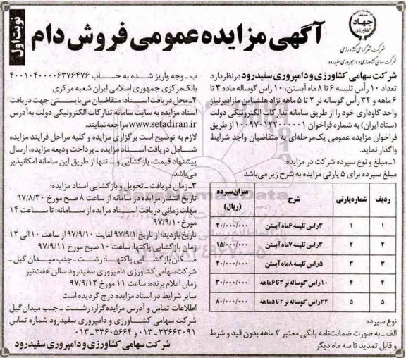مزایده, مزایده مزایده عمومی فروش دام