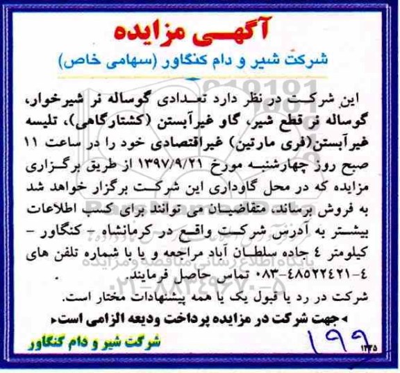 آگهی مزایده, مزایده تعدادی گوساله نر شیرخوار...