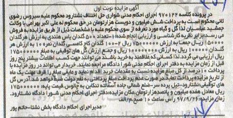 مزایده تعداد 500 گلدان باس هلندی - گلدان کاج کامسی