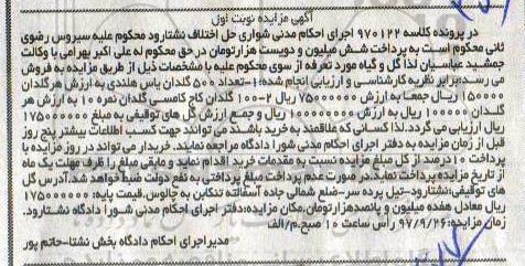 مزایده تعداد 500 گلدان باس هلندی - گلدان کاج کامسی 