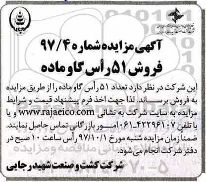 مزایده ,مزایده فروش گاو ماده