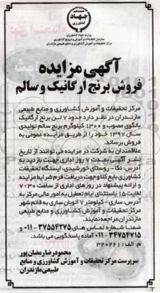 مزایده ,فروش برنج