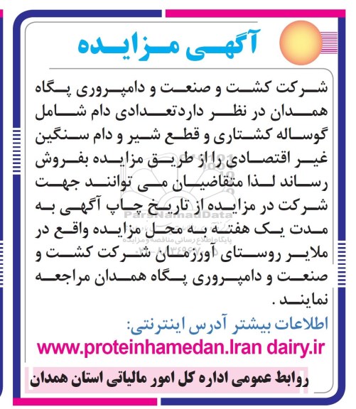 مزایده , مزایده تعدادی دام شامل گوساله کشتاری و قطع شیر و... 