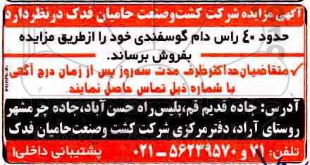 آگهی مزایده , مزایده حدود 40 راس دام گوسفندی