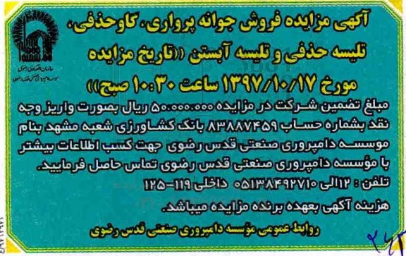 مزایده فروش جوانه پرواری ، گاو حذفی و ...