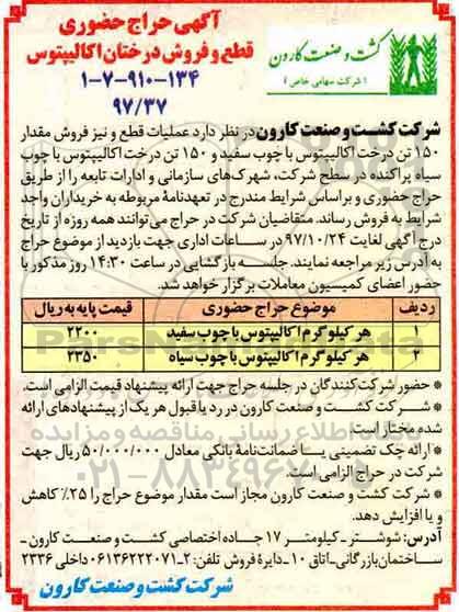 مزایده, مزایده حراج عملیات قطع و نیز فروش مقدار 150 تن درخت اکالیپتوس با چوب سفید  ...